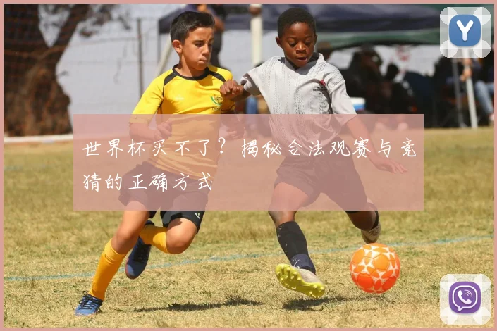 世界杯买不了?揭秘合法观赛与竞猜的正确方式