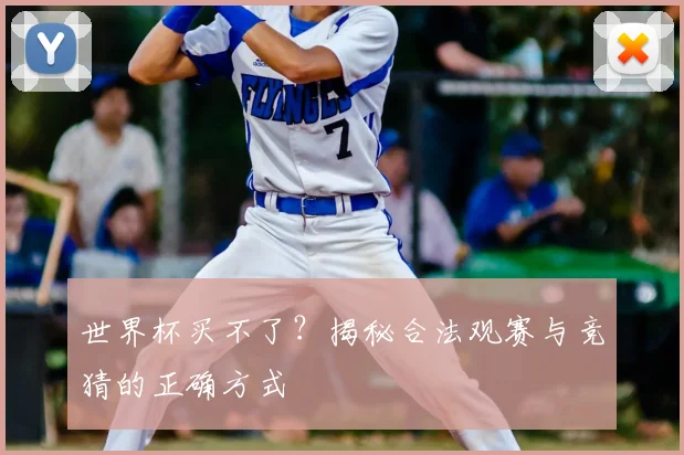 世界杯买不了？揭秘合法观赛与竞猜的正确方式