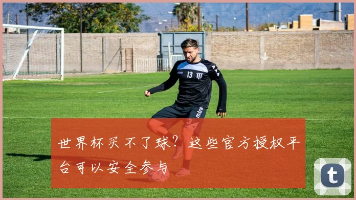 世界杯买不了球？这些官方授权平台可以安全参与