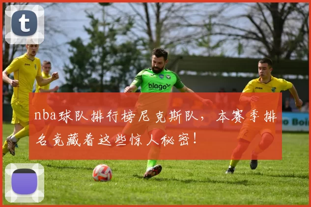 nba球队排行榜尼克斯队,本赛季排名竟藏着这些惊人秘密!
