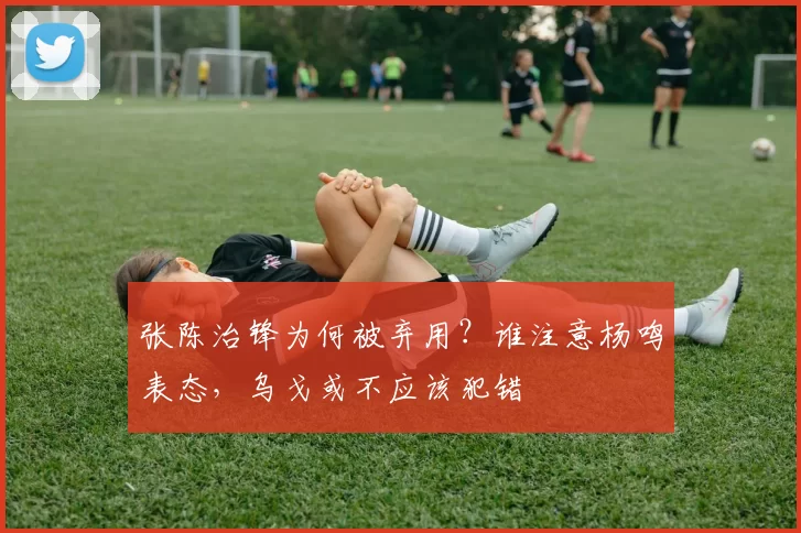 张陈治锋为何被弃用？谁注意杨鸣表态，乌戈或不应该犯错