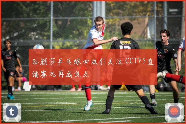 孙颖莎乒乓球回放引关注 CCTV5直播赛况再成焦点