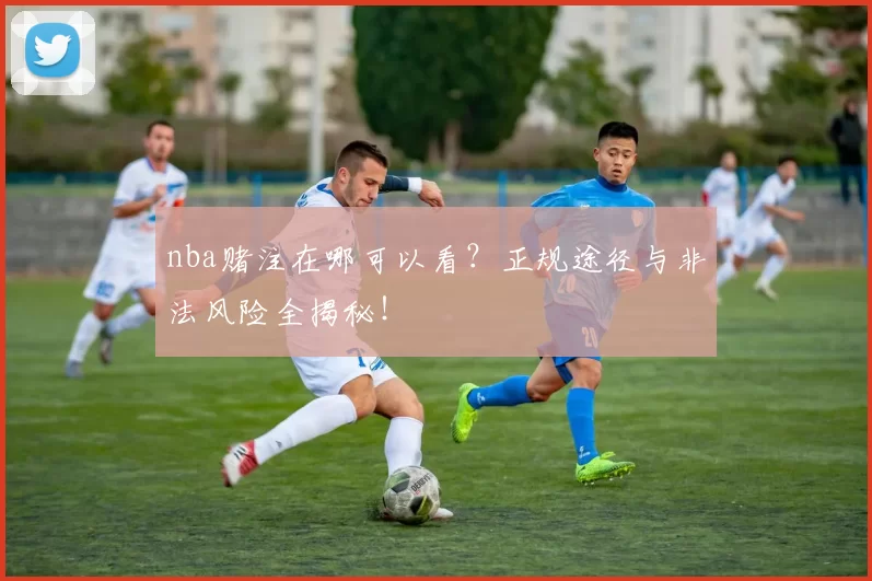 nba赌注在哪可以看?正规途径与非法风险全揭秘!
