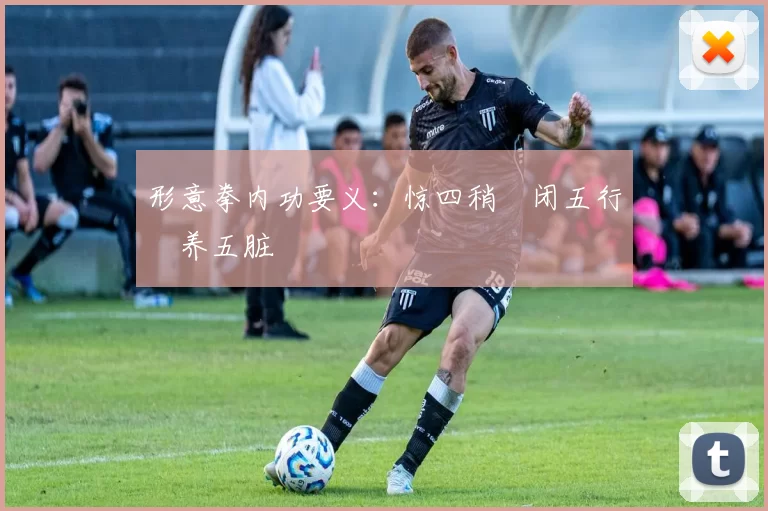 形意拳内功要义：惊四稍・闭五行・养五脏