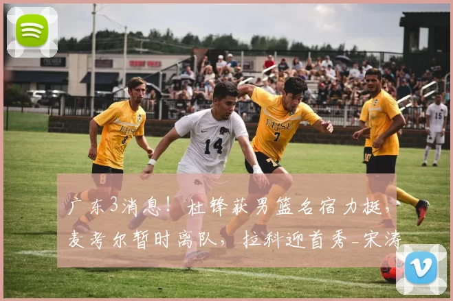 广东3消息！杜锋获男篮名宿力挺，麦考尔暂时离队，拉科迎首秀_宋涛_创业_福建