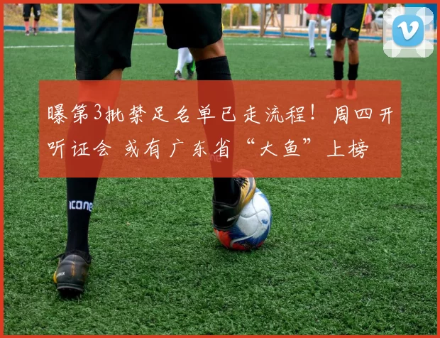 曝第3批禁足名单已走流程！周四开听证会 或有广东省“大鱼”上榜